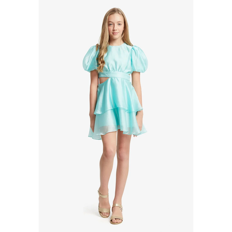 Bardot Junior - Enya Organza Mini Dress - Minty